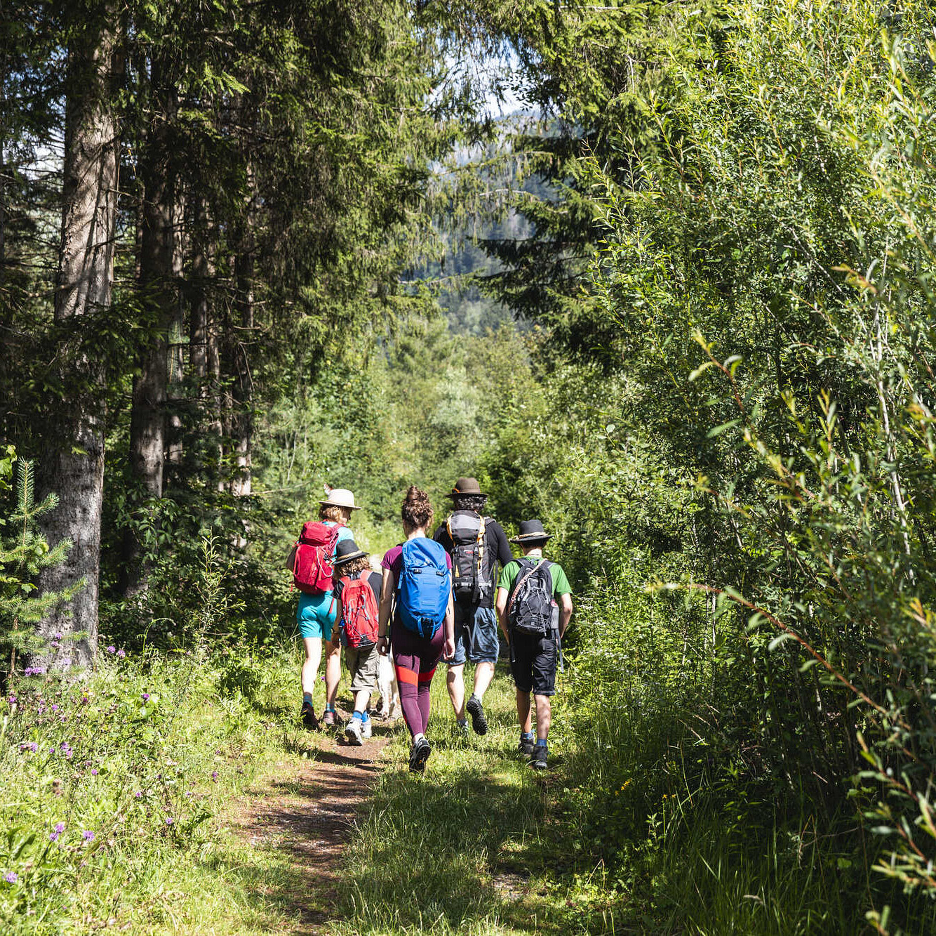 Iseltrail Etappe 2 Waldner Ramona Sankt Johann Walde 4, Osttirol