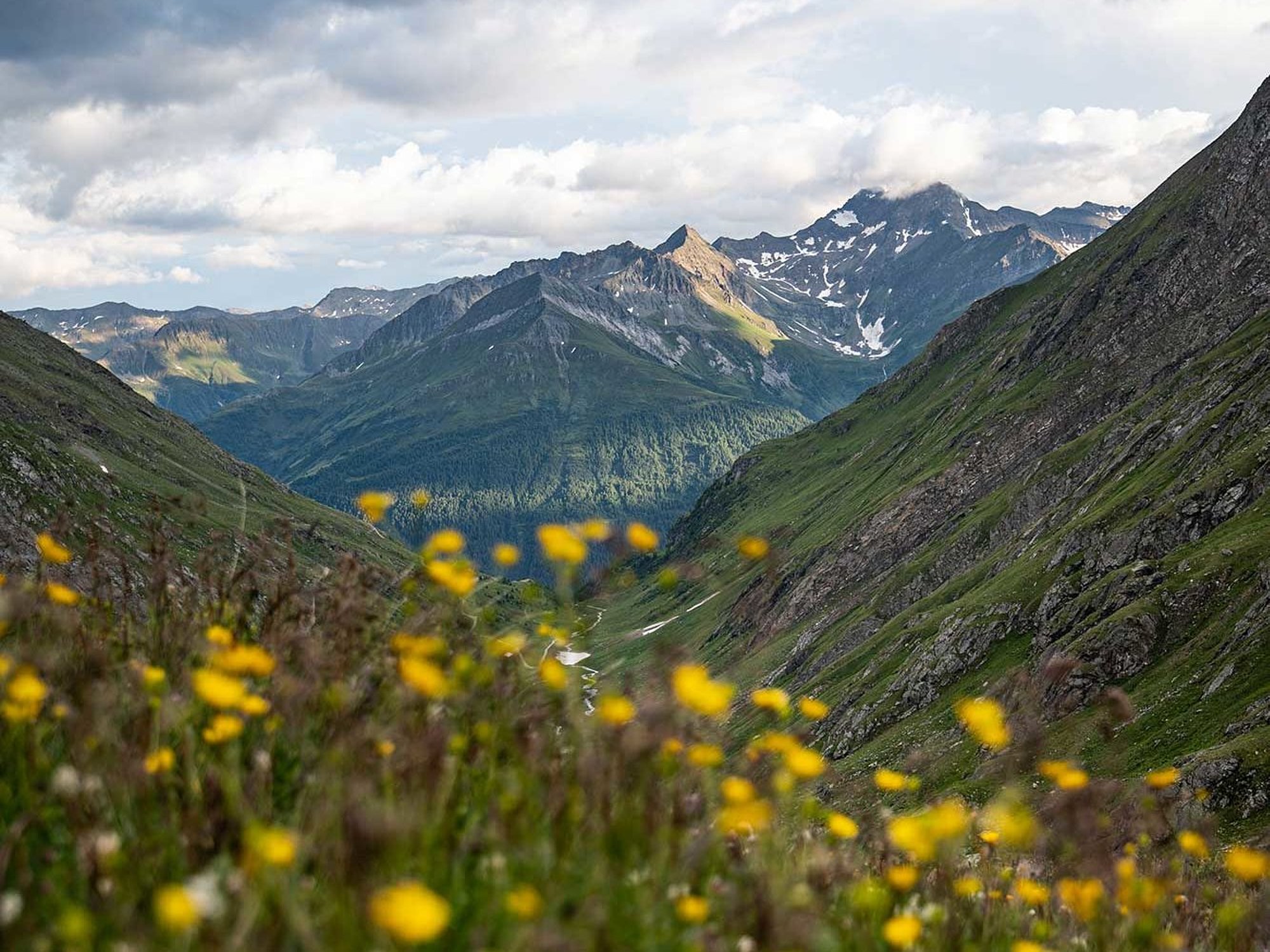 Nationalpark Hohe Tauern in Osttirol