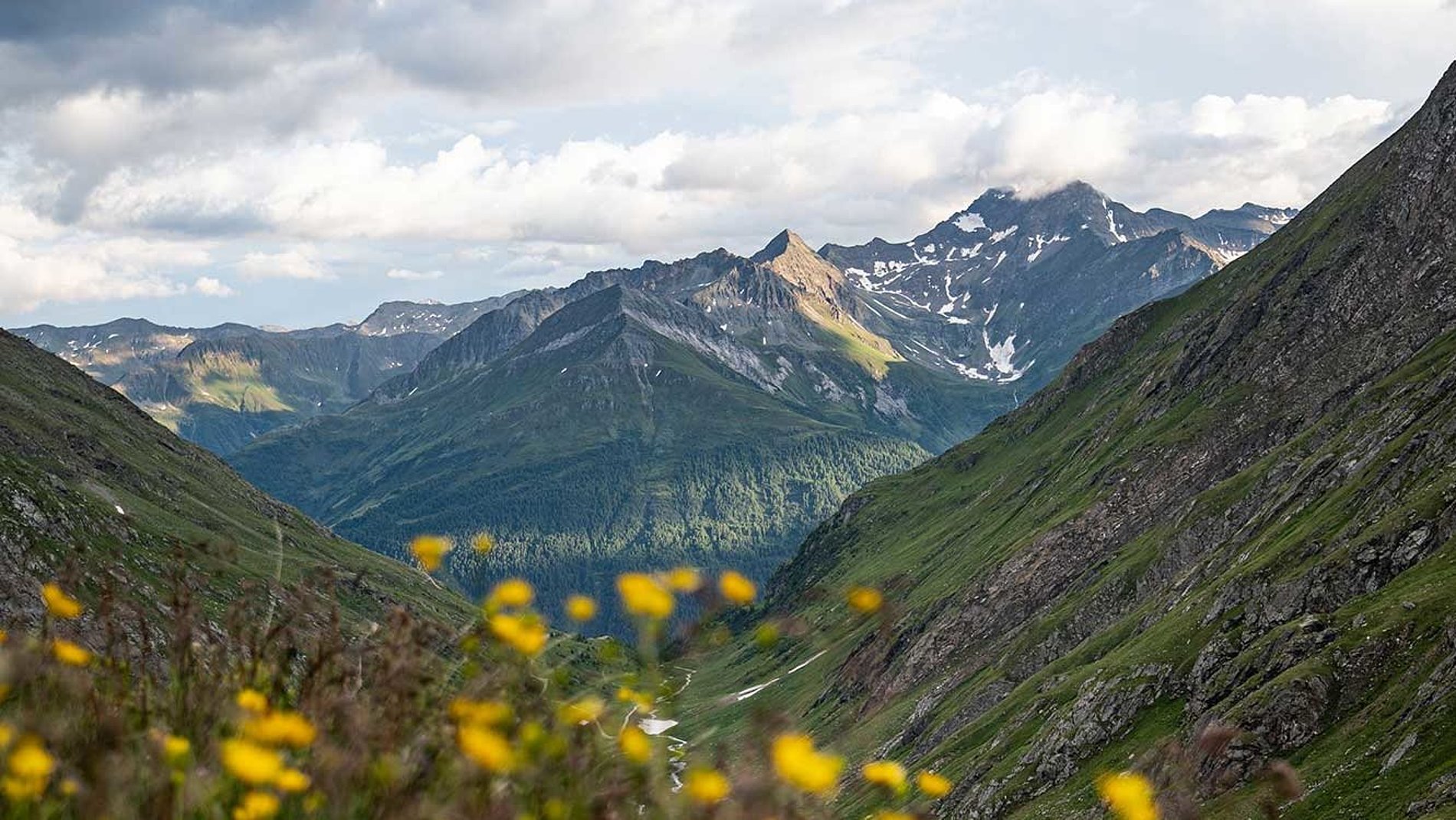 Hohe Tauern National Park in East Tyrol