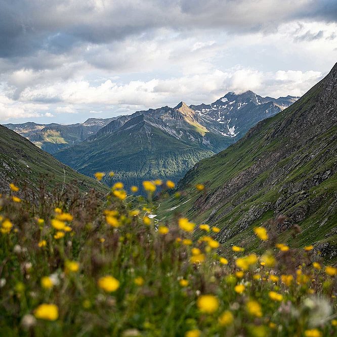 Nationalpark Hohe Tauern in Osttirol