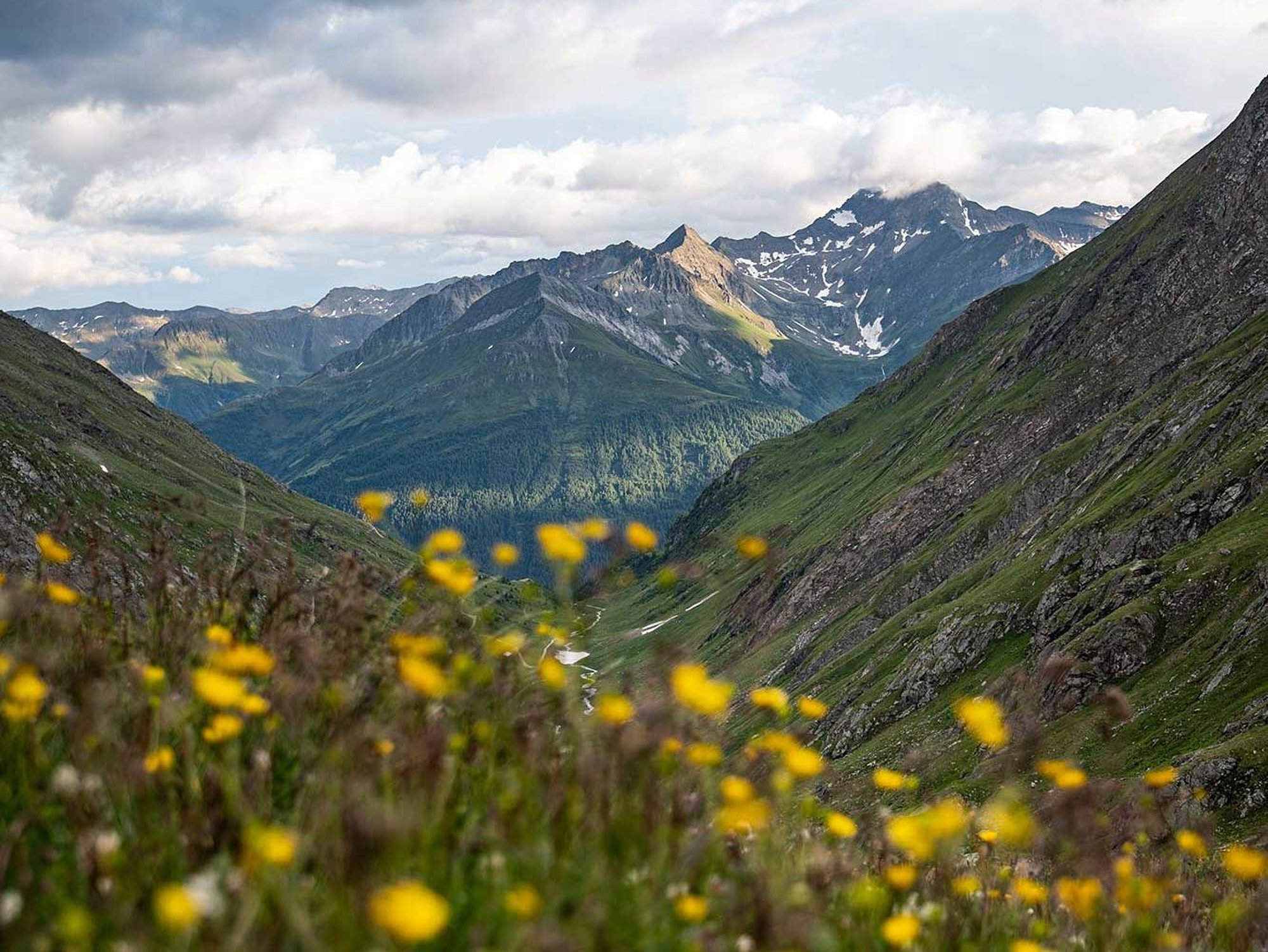 Hohe Tauern National Park in East Tyrol