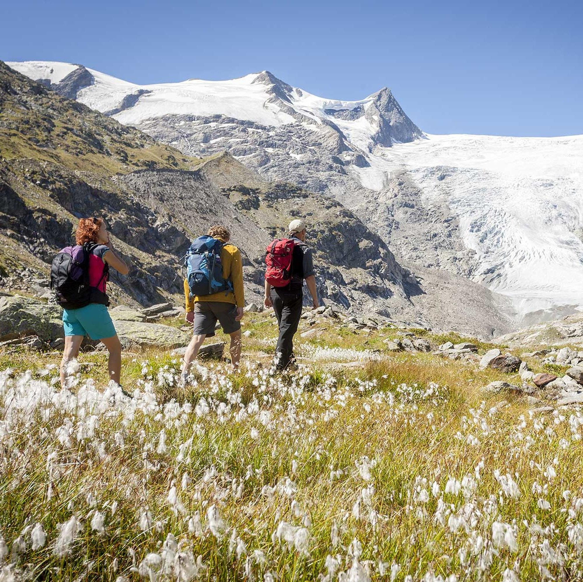 Nationalpark Hohe Tauern in Osttirol