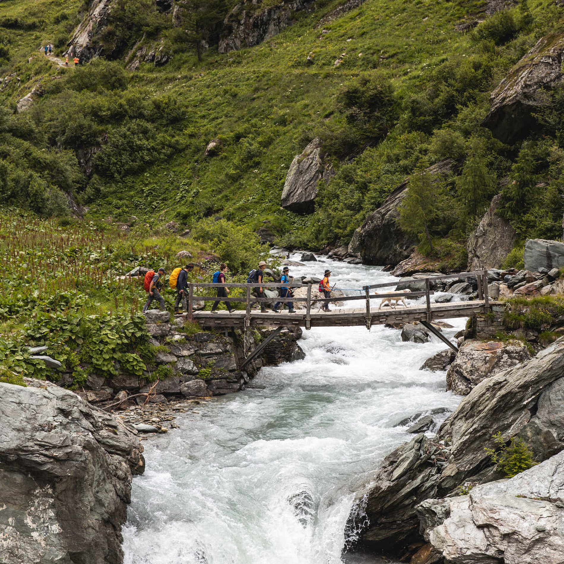 Nationalpark Hohe Tauern in Osttirol