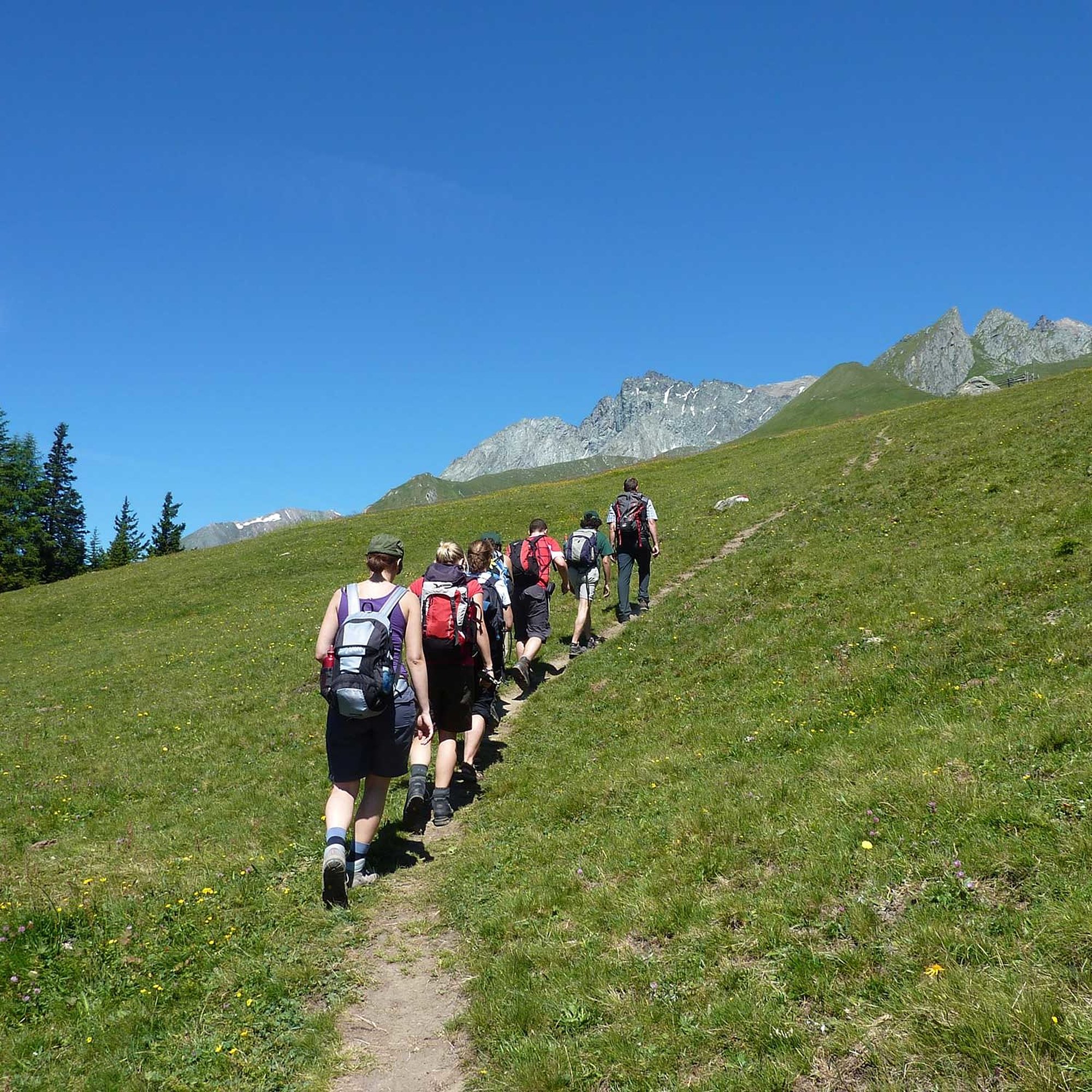 14 Gotschaun Scheifele67, Osttirol