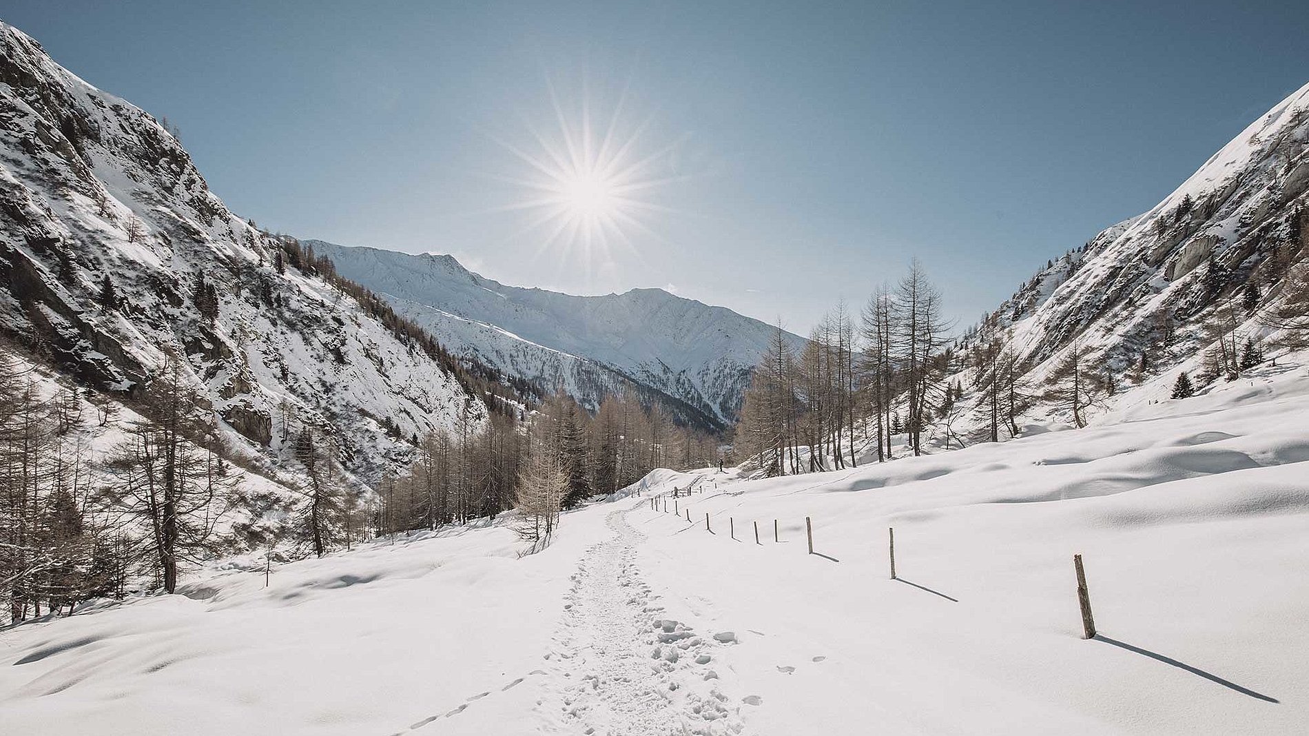 Winter holidays in Virgen, East Tyrol