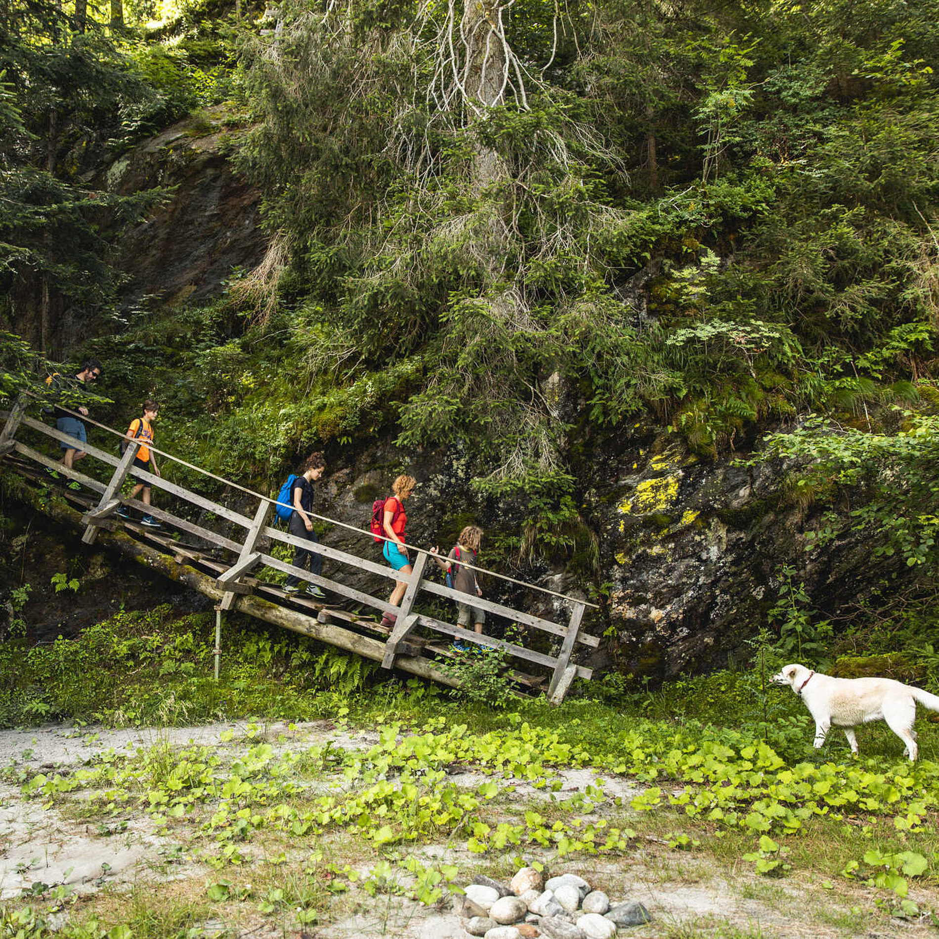 Iseltrail Etappe 1 Waldner Ramona Ainet 2, Osttirol