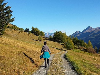 Gasthof Rose in Virgen, Osttirol